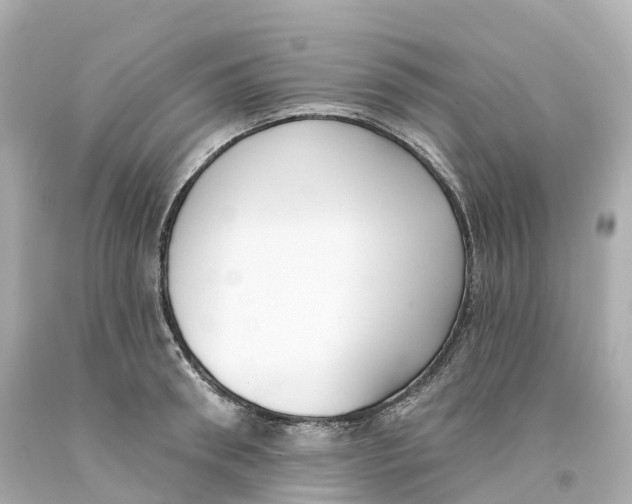 X0000093090898200710241158