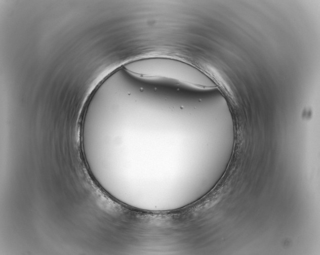 X0000093090900200710241158