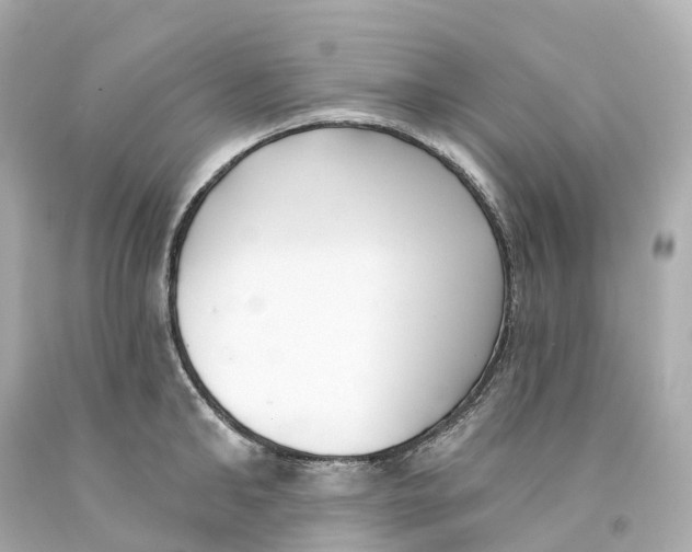 X0000093090902200710241158