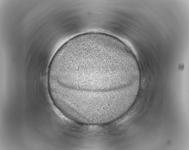 X0000093090903200710241158