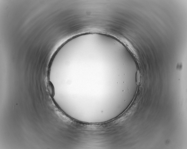 X0000093090904200710241158