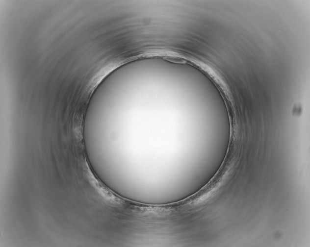 X0000093090905200710241158