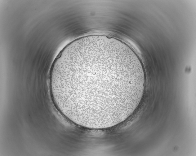 X0000093090907200710241158