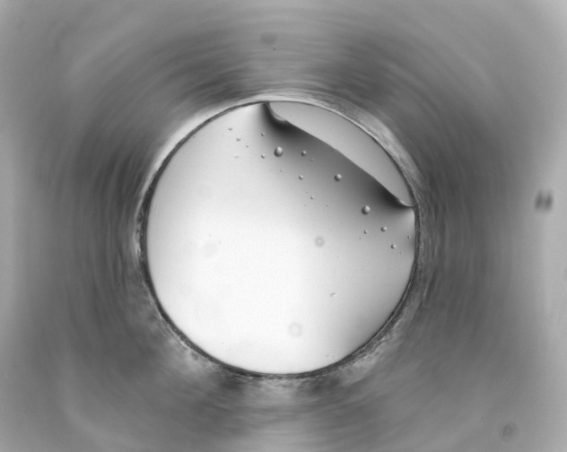 X0000093090908200710241158