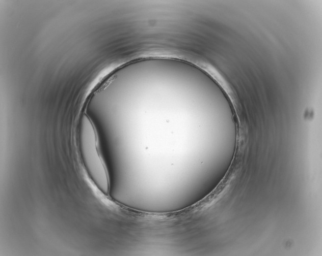 X0000093090909200710241158
