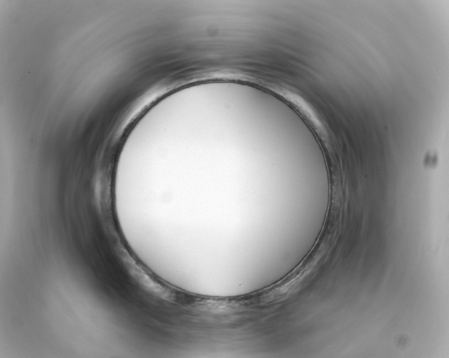 X0000093090910200710241158