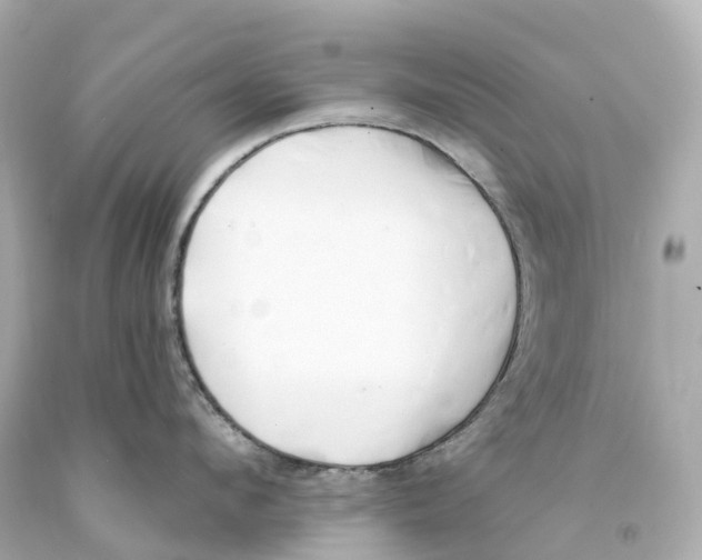 X0000093090912200710241158