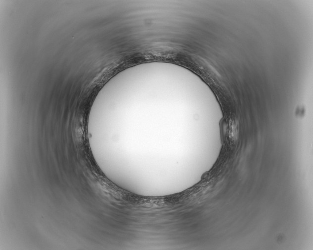 X0000093090915200710241157