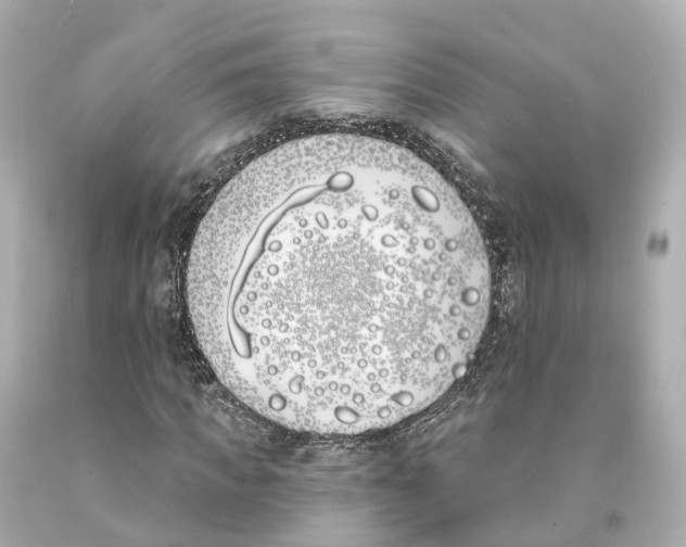 X0000093090917200710241157