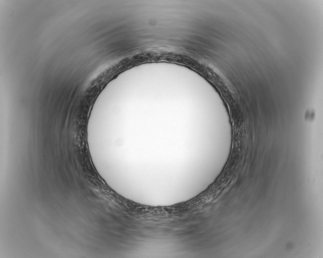 X0000093090919200710241157