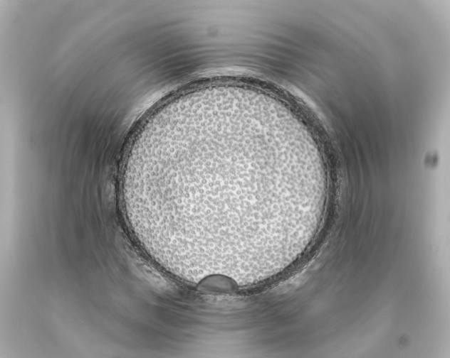 X0000093090921200710241157