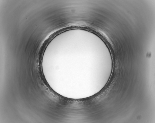 X0000093090923200710241157