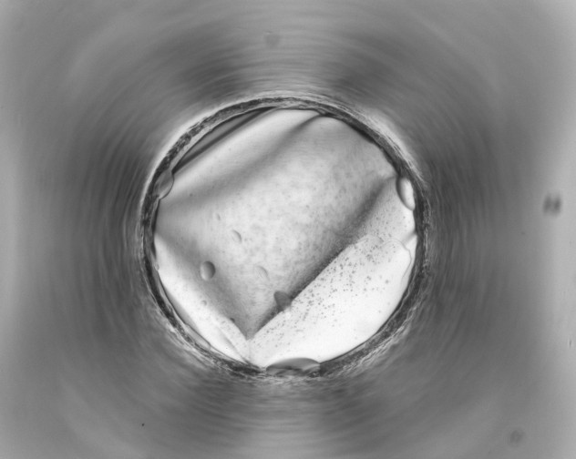 X0000093090924200710241157