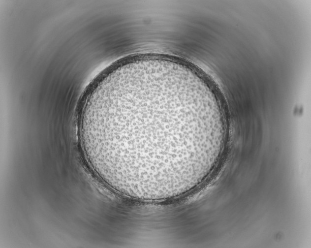X0000093090925200710241157