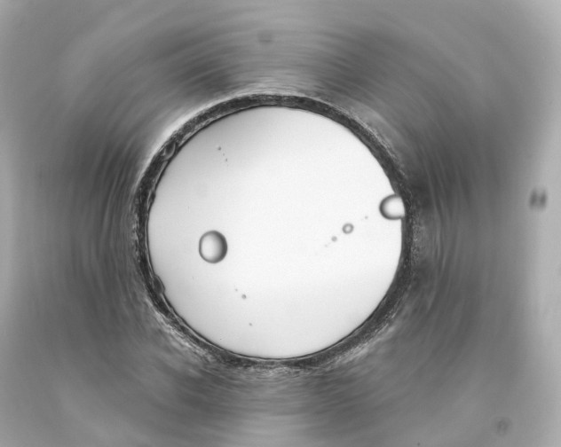 X0000093090926200710241157