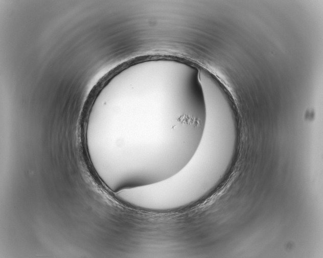 X0000093090928200710241157