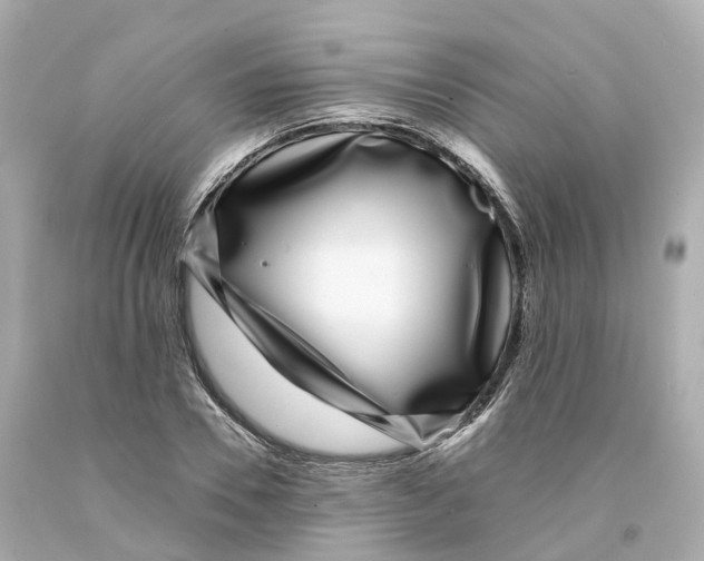 X0000093090930200710241157