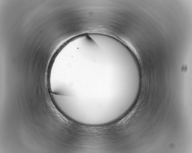 X0000093090932200710241158