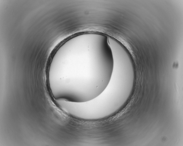 X0000093090936200710241158
