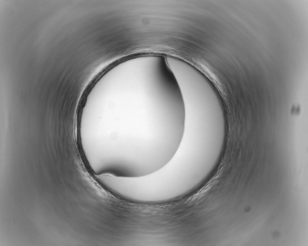 X0000093090940200710241158