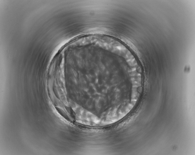 X0000093090941200710241158