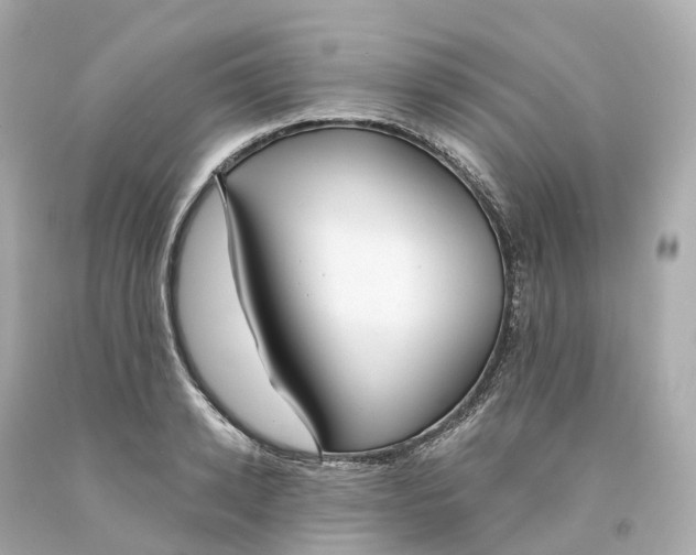 X0000093090942200710241158