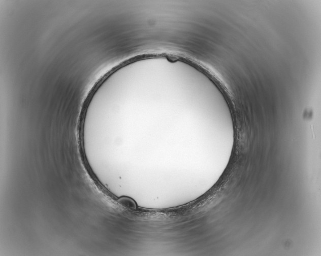 X0000093090943200710241158