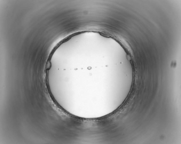 X0000093090944200710241158