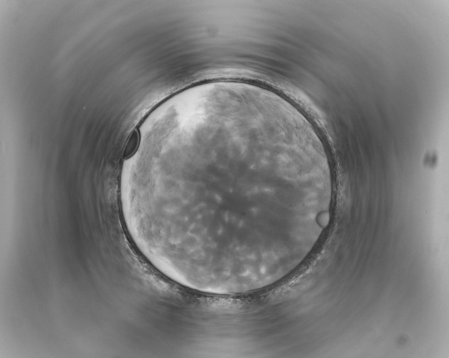 X0000093090945200710241158