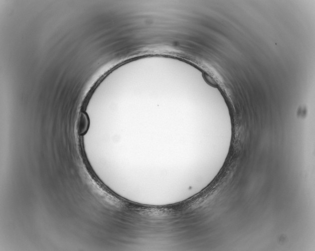 X0000093090947200710241158