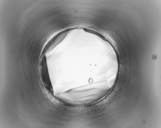 X0000093090948200710241158