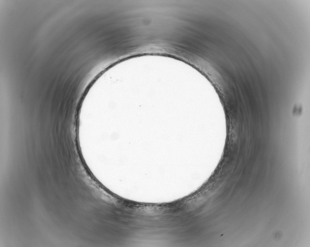 X0000093090950200710241158