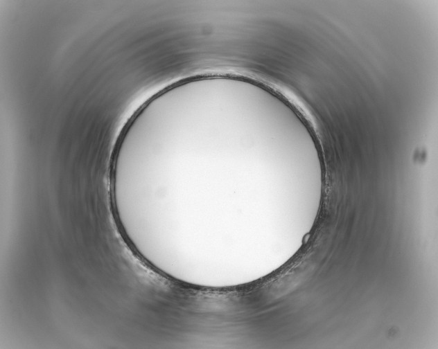X0000093090951200710241158