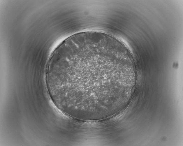 X0000093090952200710241158