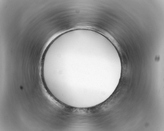 X0000093090955200710241158