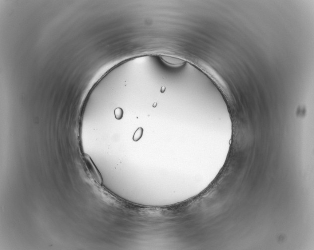 X0000093090956200710241158