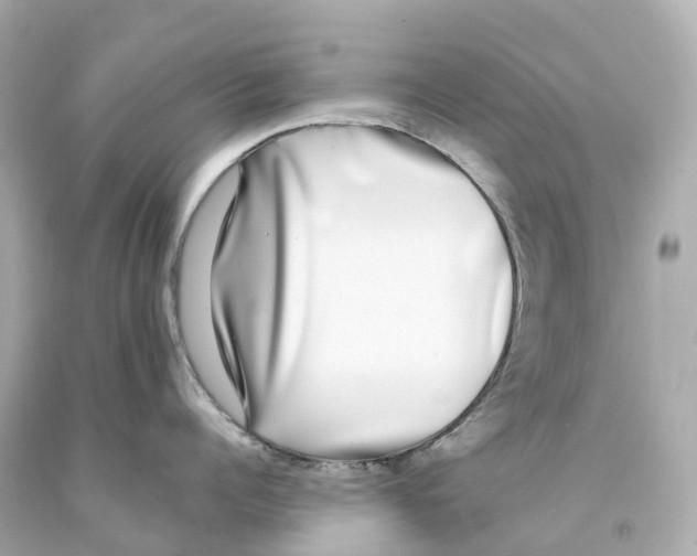 X0000093090960200710241158