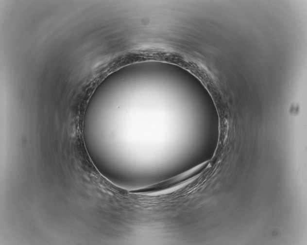 X0000093090965200710241157