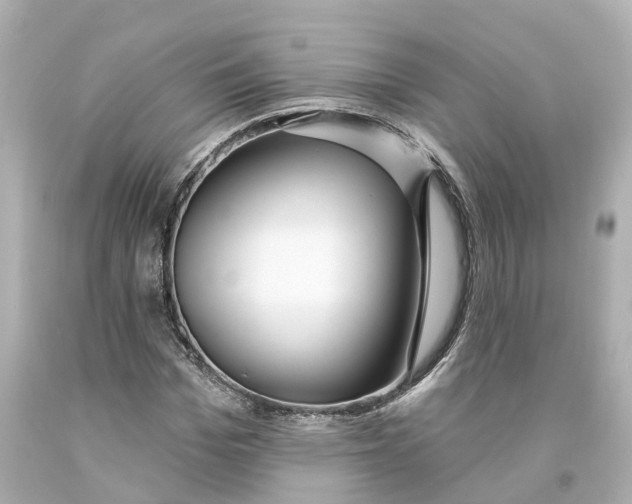 X0000093090969200710241157