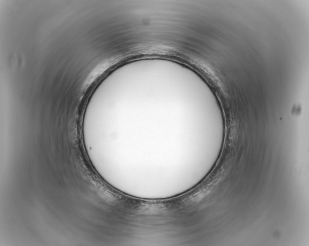X0000093090978200710241157