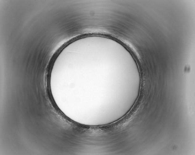 X0000093090983200710241157