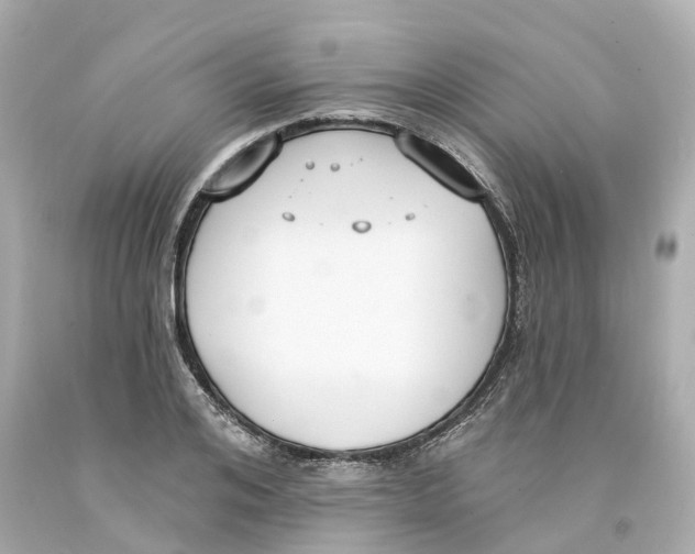 X0000093090984200710241157