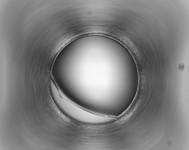 X0000093090985200710241157