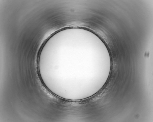 X0000093090990200710241157