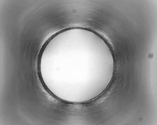 X0000093090991200710241157