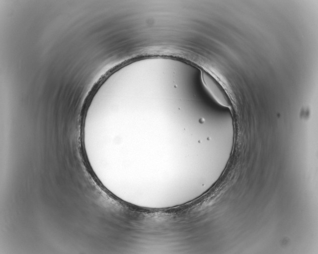 X0000093090992200710241157