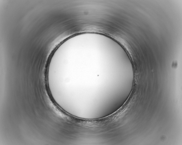 X0000093090995200710241157
