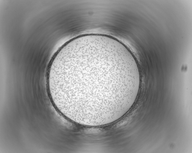 X0000093090998200710241157