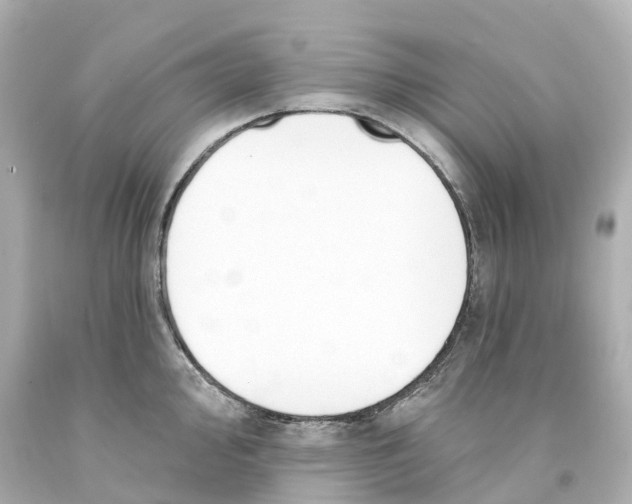 X0000093091000200710241157