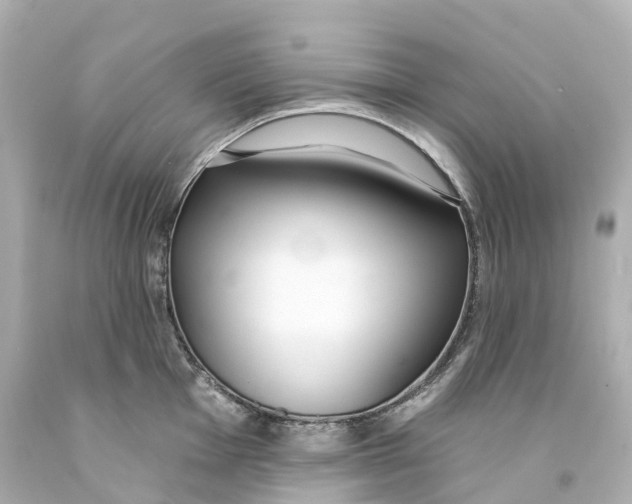 X0000093091001200710241157
